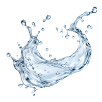 Wasser