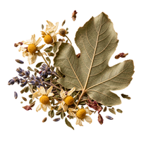 Kräuter und Blüten